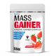 Pouch of Mass Gainer supplement with strawberry flavor, 2.8 kg, showing berries on the packaging.